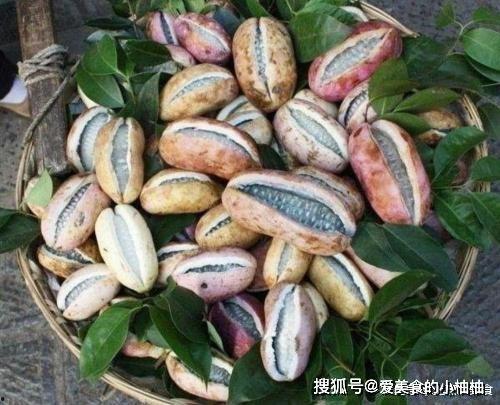 八月瓜黑籽可以吃吗,可食用之谜揭秘