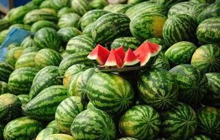 今日看料每日一瓜曹县,揭秘今日看料每日一瓜背后的故事