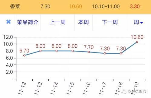 日本梅陇瓜今日价格走势,今日走势解析