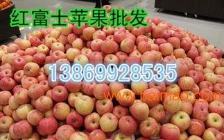 山东吊瓜今日行情如何了