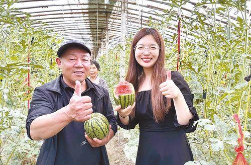 2k吊瓜今日价格