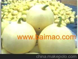 昆明小瓜最新今日行情价格,价格波动，市场动态一览