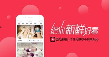 今日头条小说星星吃瓜,娱乐圈的甜蜜瓜田