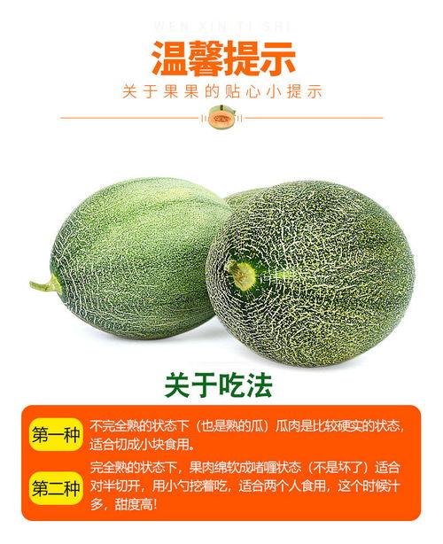 海南哈密瓜批发今日价格,海南哈密瓜批发价格今日行情一览