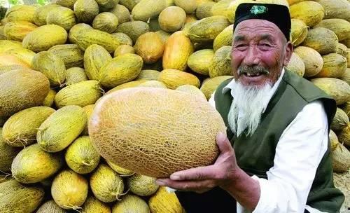 今日热点榜哈密瓜,哈密瓜成为今日热点，揭秘其魅力所在
