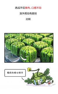 历史热门吃瓜事件有哪些,那些年我们津津乐道的八卦风云
