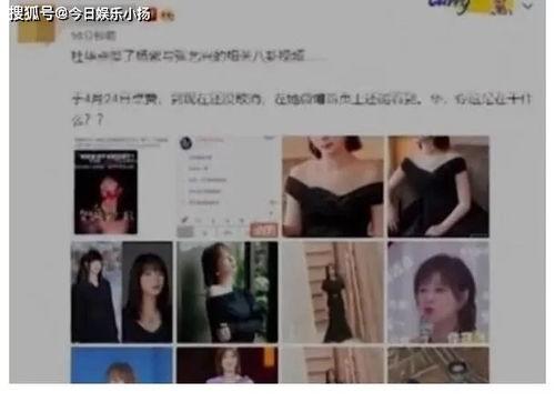 吃瓜爆料最新恋情视频,明星甜蜜恋情视频曝光，甜蜜互动引网友热议