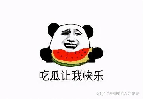 热门吃瓜文案短句搞笑,笑料百出！热门吃瓜文案短句大盘点