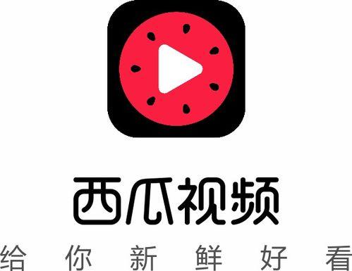 抖音今年热门瓜,揭秘网红圈层风云变幻