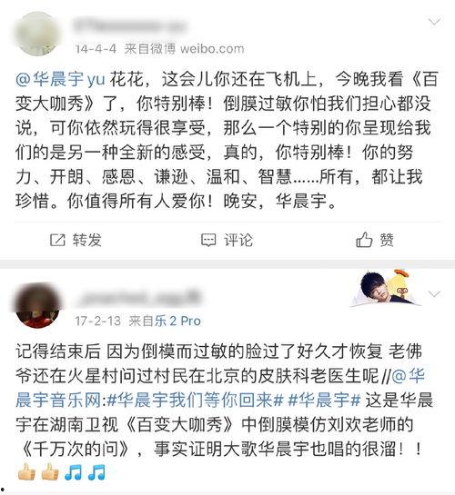 爆料吃瓜小说全文阅读,揭秘娱乐圈背后的秘密与真相
