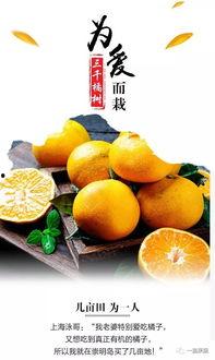 梨瓜哥热门视频,揭秘生活小妙招，轻松解决生活难题