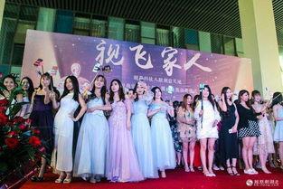 金明星网红孵化基地,打造明日之星的摇篮