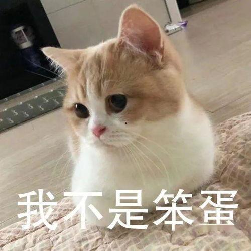 明星网红直播翻车事故,明星网红如何应对意外事故