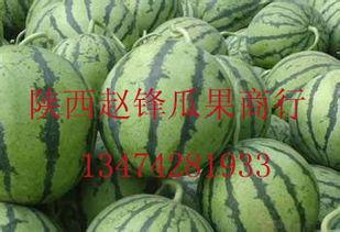 滨州哈密瓜批发今日价格,今日行情一览