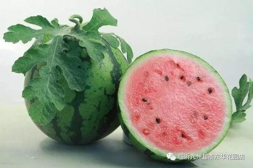 吃瓜黑样不打料反差,揭秘反差萌的魅力