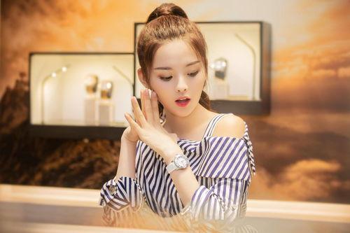 明星网红看仙逆,明星网红演绎的修真之旅