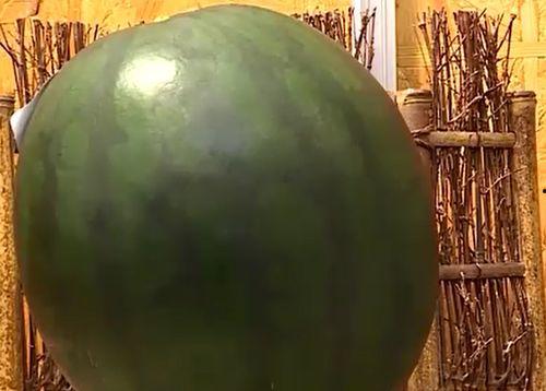 越南热门大瓜,真相令人震惊！