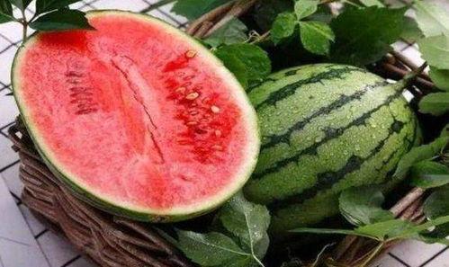 安宁今日红瓜价格行情,市场波动下的价格走势解析”