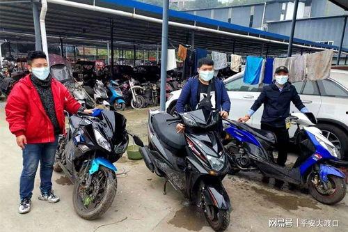 51热门今日吃瓜群众机车,吃瓜群众热议，机车文化新风尚