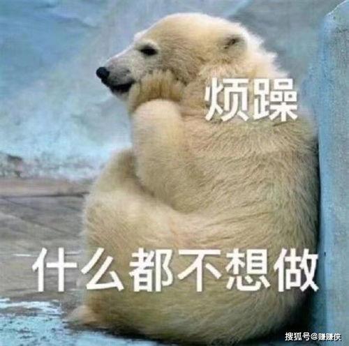 吃瓜群众热门视频,一场全民参与的娱乐盛宴