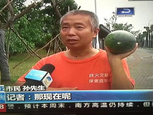 吃瓜群众热门视频,一场全民参与的娱乐盛宴