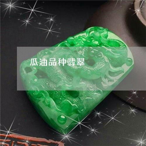 2023热门瓜,揭秘年度“瓜王”