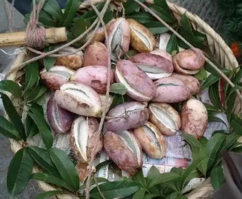 热门话题今日热搜八月瓜,揭秘热搜背后的热点事件与话题