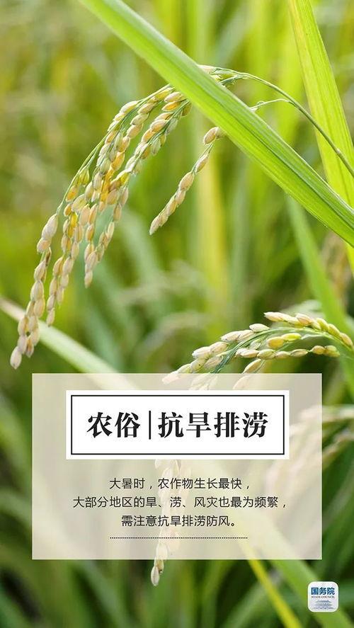 热门话题今日热搜八月瓜,揭秘热搜背后的热点事件与话题