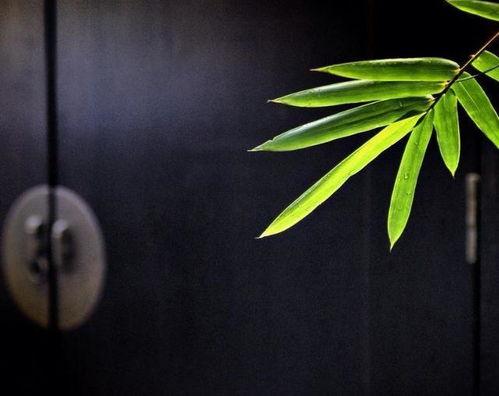 热门话题今日热搜八月瓜,揭秘热搜背后的热点事件与话题