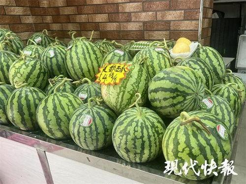 今日美都瓜价格最新行情,最新行情一览