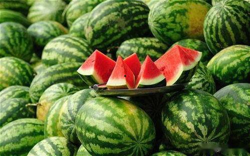 今日美都瓜价格最新行情,最新行情一览