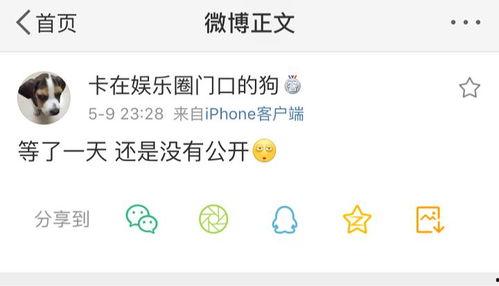 吃瓜爆料推特在线,网络舆论场上的风云变幻”