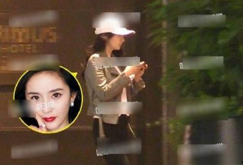 杨幂热门爆料吃瓜微博,揭秘娱乐圈背后的真相