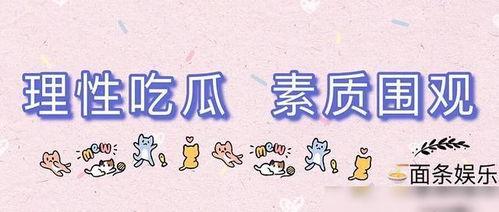 吃瓜爆料配乐是什么,音乐旋律中的悬疑故事