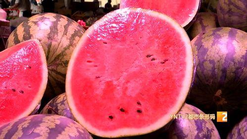 麒麟瓜价格今日市场价,价格波动背后的原因与趋势