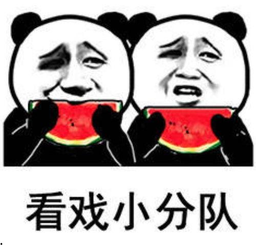 今日吃瓜表情包图片搞笑,笑料横飞，欢乐无限！
