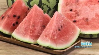 黑鸡吃瓜,瓜田里的欢乐食光