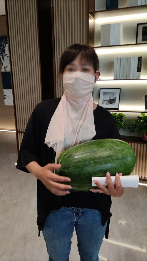 911黑料吃瓜爆料今日大瓜