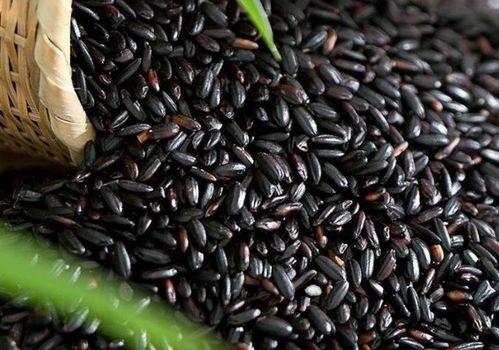 黑米和哈密瓜能一起吃吗,健康搭配的饮食新选择