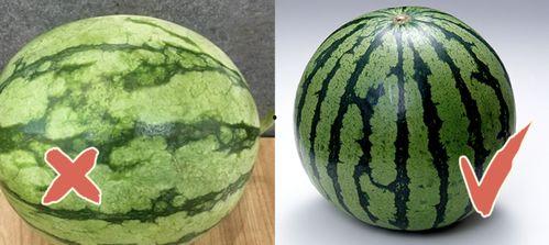 网红吃瓜爆料热点,最新吃瓜爆料，热点事件背后的真相大起底