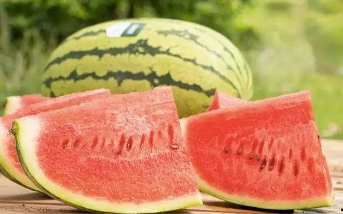 山东莘县厚皮瓜今日价格,市场行情一览”