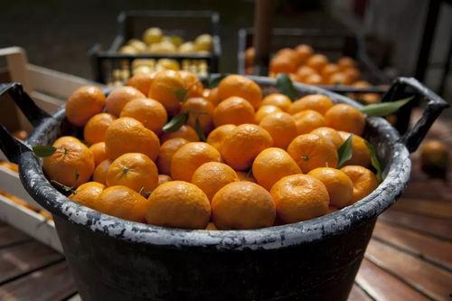 抖音网红热门大瓜,揭秘热门事件背后的真相