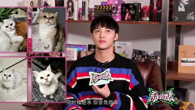 明星网红唱歌视频文案