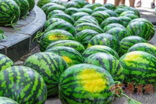 全国各大高校吃瓜黑料