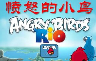 飞瓜找热门音乐,潮流旋律，引领听觉盛宴