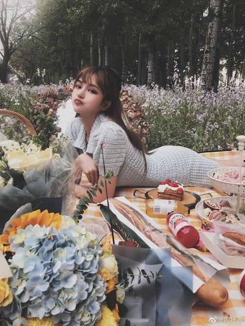 明星网红野餐是谁,一场时尚与美食的跨界狂欢