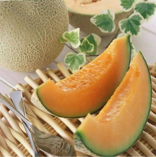 今日红星市场哈密瓜价格