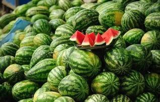 缅甸网红吃瓜黑料,吃瓜黑料背后的真相与反思