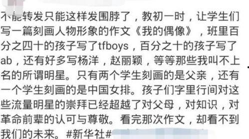 关于明星网红的作文,明星网红现象的崛起与影响