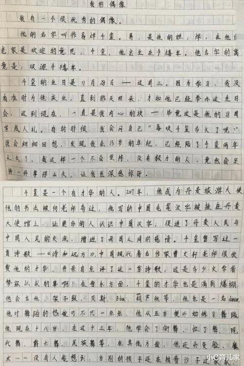 关于明星网红的作文,明星网红现象的崛起与影响